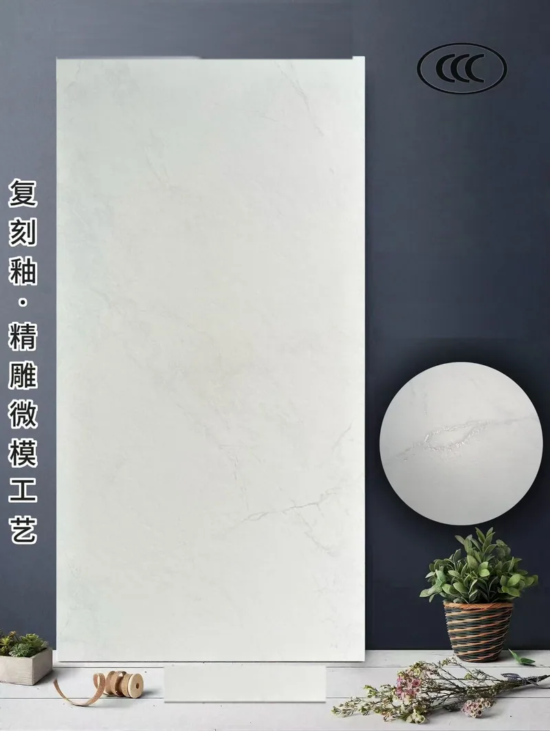 Carrelage 600×1200 mm mat